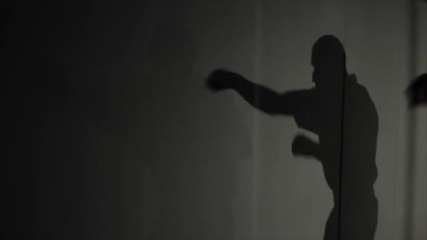 Egy férfi boxer képzés árnyéka. Gyakorló ütéseket. Mielőtt a küzdelem. A mozgó árnyék — Stock videók