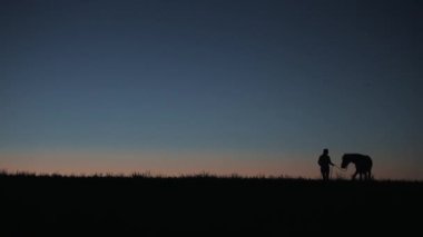 A koşum takımı tutan ve bir at gece karanlığında önde gelen bir kadın siluetleri