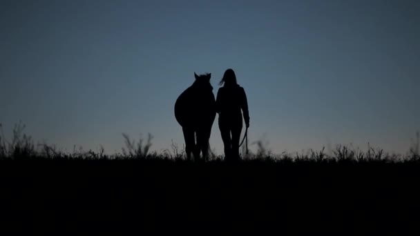 Siluetas de una hembra ecuestre guiando a su caballo al aire libre después del atardecer mientras sopla el viento — Vídeos de Stock