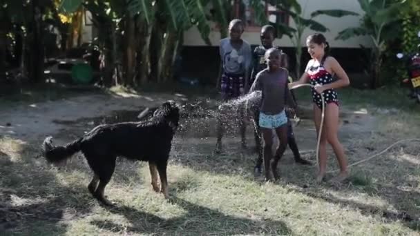 KENYA, KISUMU - MAIO 20, 2017: Crianças caucasianas e africanas se divertindo com o cão juntas, mangueira com água . — Vídeo de Stock