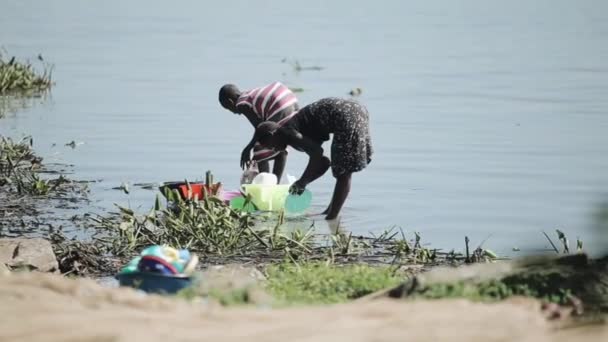 Кения, КИСУМУ - 20 мая 2017 года: Две африканские женщины, остановившиеся на берегу озера и мывшие посуду вместе . — стоковое видео
