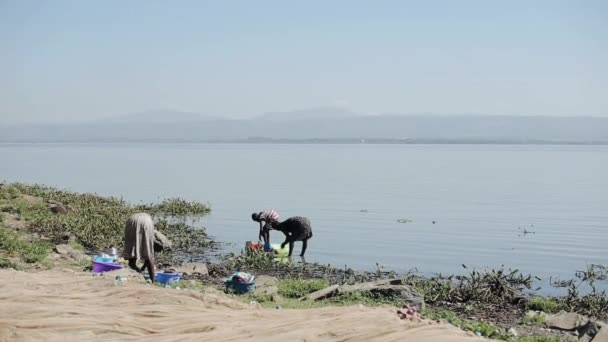 Африканские женщины, стоящие на берегу озера и моющие посуду в солнечный день . — стоковое видео