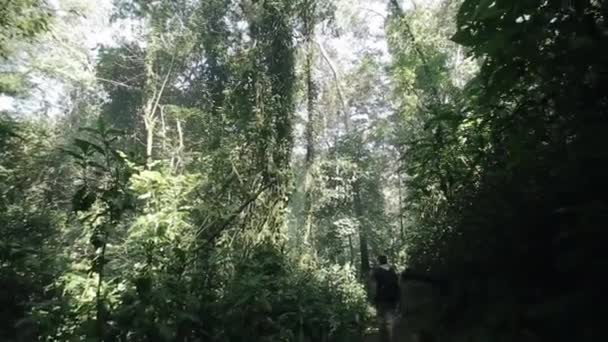 Back view of two Caucasian man with backpacks going through the forest in Africa. Travelers exploring jungle. — Stock Video