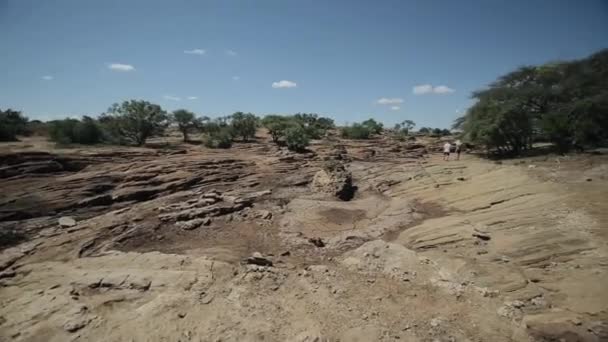 Bellissimo paesaggio di un deserto in Africa, Kenya. L'uomo che cammina da solo per il campo in lontananza . — Video Stock