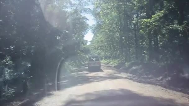 Parlak güneşli bir ormanda yol güzel manzara. Bir arabanın içinden bir ön cam ile göster. — Stok video