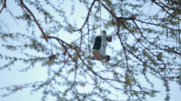 Handmade car, toy from scrap materials hanging on a tree. — Stock Video