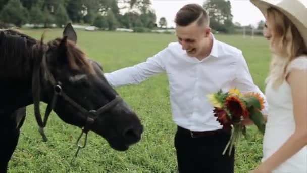 Panna młoda i pan młody w pobliżu czarny koń w polu — Wideo stockowe