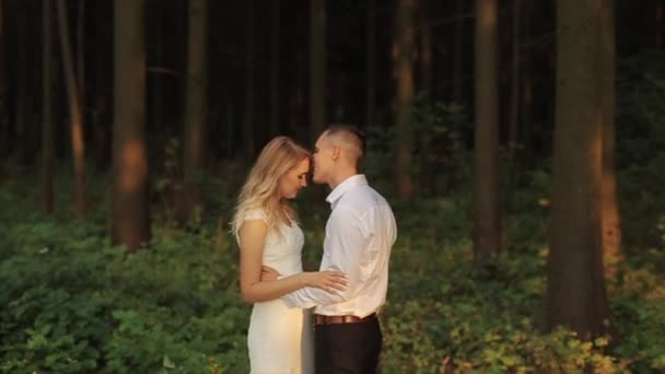 Een tedere bruidspaar staat aangezicht tot aangezicht in het forest. De bruidegom is het omarmen van de bruid. Slow motion — Stockvideo