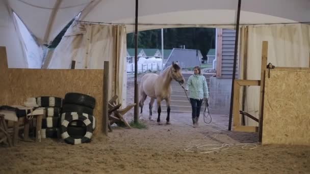 Een mooie vrouw brengt haar paard naar de stal — Stockvideo