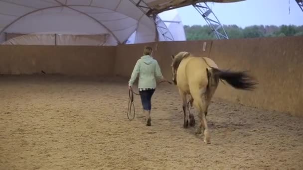 Rückansicht einer Reiterin, die ihr Pferd auf dem Hof führt — Stockvideo