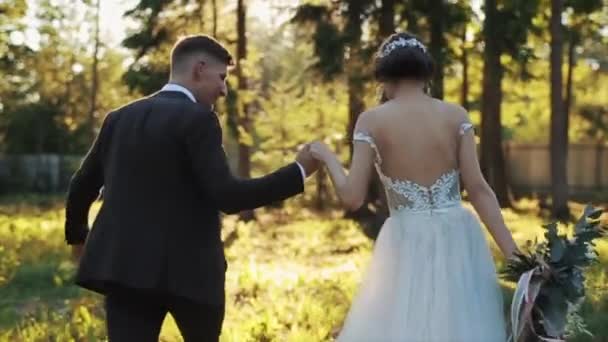 Bakifrån av ett gift par promenader innehav händer i park i höst — Stockvideo
