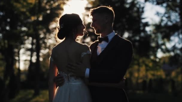 Feliz novia y novio de pie en el parque de otoño hablando, riendo, besando — Vídeos de Stock