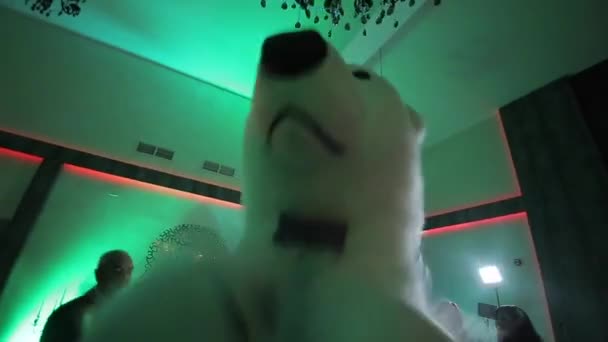 Belarus, Minsk - January 15, 2019: Wedding party. Close up man in a big polar bear costume is dancing at a wedding with the bride and guests. Wedding banquet. — Stock Video