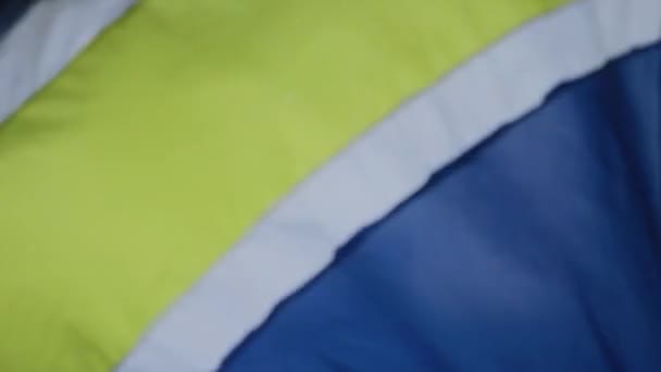 Footbal fans viftande gul blå flaggor. — Stockvideo