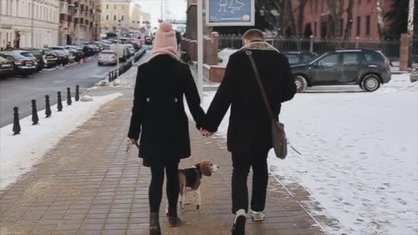 Zadní pohled na mladé stylové páru, procházky se psem v ulici. Muž a žena šťastná společně. Pes beagle. Podzimní sezóna. Pár, drželi se za ruce. — Stock video
