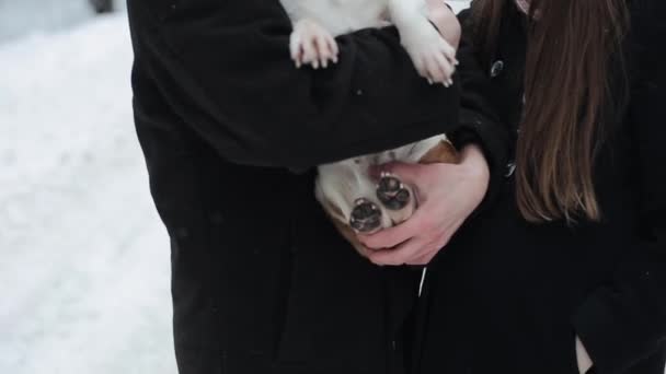 Χαριτωμένο νεαρό hipster ζευγάρι διασκεδάζοντας στο χειμερινό πάρκο με το σκυλί τους σε μια ηλιόλουστη ημέρα και χαμογελαστός. Άνδρας και γυναίκα παίζει με beagle. Αργή κίνηση, — Αρχείο Βίντεο