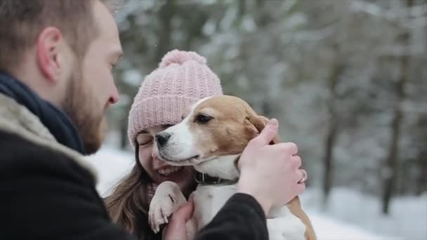 Cute young hipster couple having fun in winter park with their dog on a bright day and smiling. Man and woman playing with beagle. Slow motion, — Stock Video