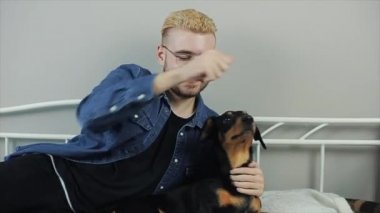 Yatakta köpek dachshund oynamaktan neşeli şık delikanlı. İnsan ve köpek having fun.