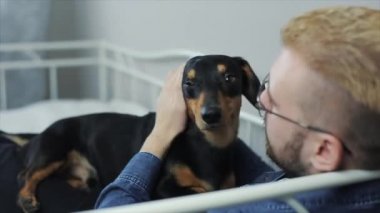 Yatakta köpek dachshund oynamaktan neşeli şık delikanlı. İnsan ve köpek having fun.