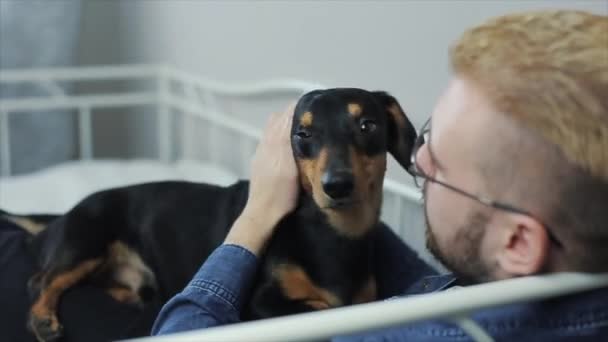 Χαρούμενα κομψό νεαρός παίζει με το είδος γερμανικού κυνηγετικού σκύλου σκύλος στο κρεβάτι. Άνθρωπος και σκύλος έχει τη διασκέδαση. — Αρχείο Βίντεο