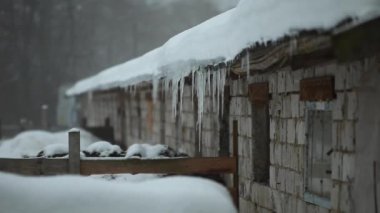 Icicle'ı çatıdan asılı buz sarkıt borunun çatıda. Arka plan üzerinde ışık parlar. Kar üzerinde arka plan gider.