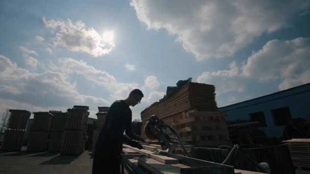 Silhouette of Industrial young carpenter worker wear a construction googgles and using to the wood cutting machine. A lot of pallets on background. Wide view. — Stock Video