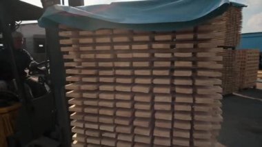 Ambardaki ahşap paletleri işleyen forklift operatörü. Adam yükleyici Dor kullanarak ahşap plakalar paketi.