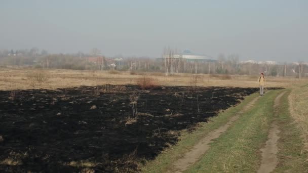 Verbranntes Gras auf dem Hintergrund der Stadt. Frühling. — Stockvideo