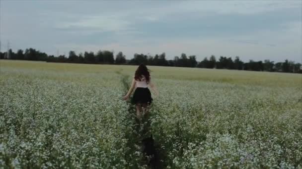 Menina morena muito jovem com um cabelo ondulado em saia preta caminha em um campo de flores. Visão traseira. Movimento lento — Vídeo de Stock