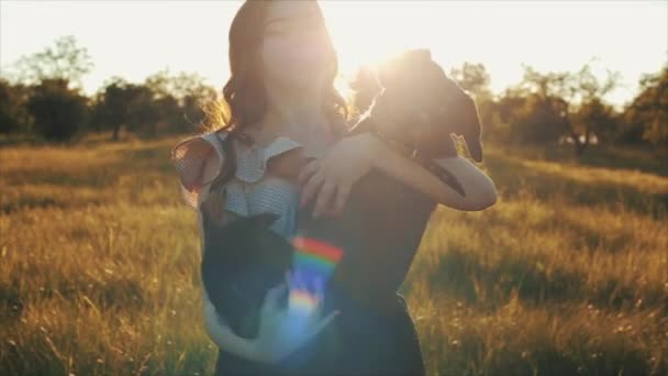 Chica bonita de moda en vestido de verano elegante y pelo ondulado negro con perro dachshund en el campo con flores a la luz del sol, hierba al atardecer. Mujer sonríe, ríe y gira con el perro — Vídeos de Stock