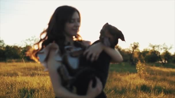 Trendy mooi meisje in stijlvolle zomer jurk en zwart golvend haar met hond teckel in het veld met bloemen in zonlicht, gras bij zonsondergang. Vrouw glimlacht, lacht en dwarrelt met de hond — Stockvideo