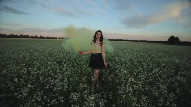 Široký pohled na mladou, atraktivní brunetovou dívku v sukni se zelenou kouřovou bombou na hřišti. Dívka, která se směje a baví se kouřem před západem slunce. — Stock video