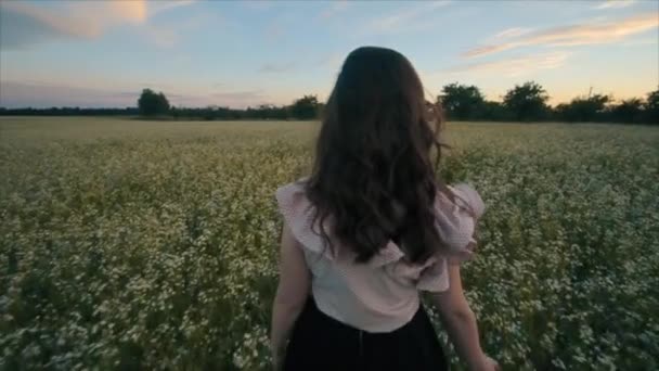 Visão traseira da menina morena bonita com um cabelo ondulado em saia preta caminha em um campo de flores. Visão traseira. Movimento lento — Vídeo de Stock