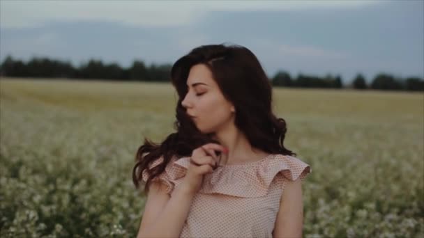 Menina bonita tira o cabelo no fundo do pôr do sol. Menina adolescente posando sobre a natureza. Modelo muito ao ar livre . — Vídeo de Stock