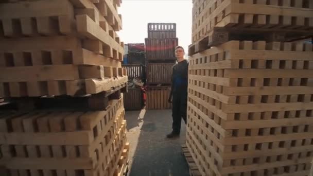 Młody pracownik w jednolitych spacerach pomiędzy drewnianymi paletami w magazynie dystrybucji na zewnątrz. Zwolnionym — Wideo stockowe