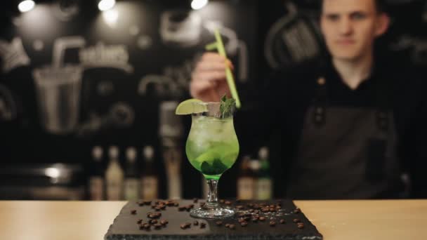 Бармен украшает коктейль мохито зеленой соломинкой — стоковое видео