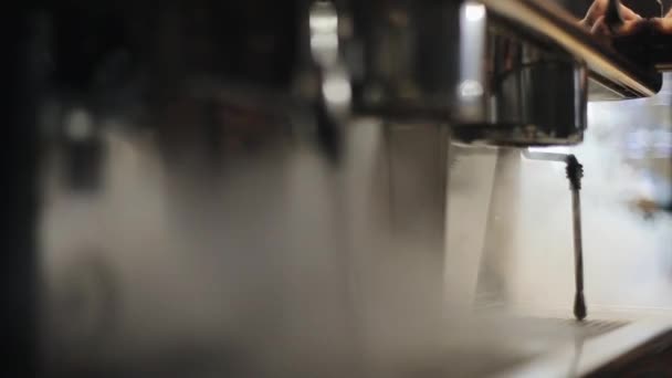 Profesyonel bir kahve makinesinden buhar geliyor. Yakın görünüm — Stok video