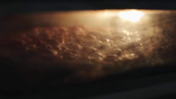 Pizza sütés elektromos kemencében — Stock videók