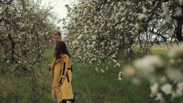 La joven pareja enamorada camina por el jardín floreciente de primavera felizmente sonriendo y tomándose de la mano. Romance y amor. En cámara lenta. — Vídeo de stock