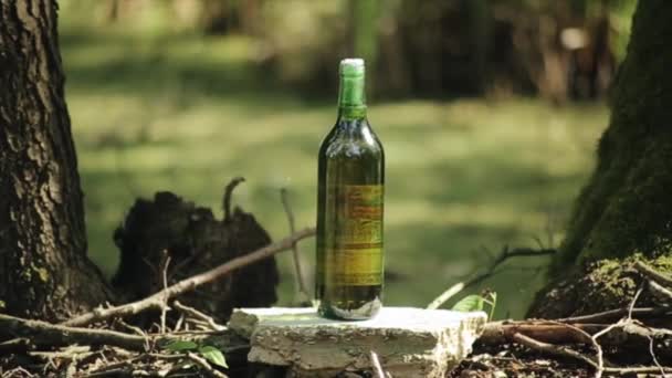 Eine Flasche Wein steht als Ziel auf dem Hintergrund von Bäumen und zerknüllt sich nach einem Schuss mit einem Gewehr in einem Glashaufen. Nahaufnahme. Zeitlupe — Stockvideo