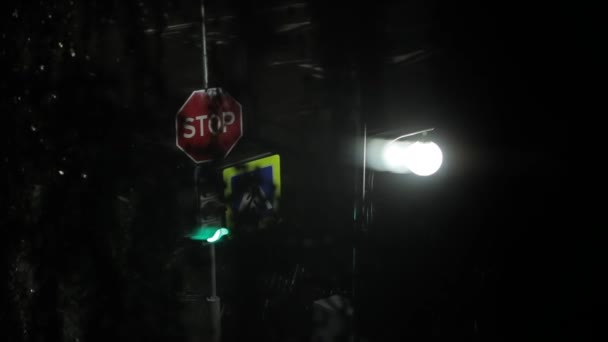 Мигающий зеленый свет на пешеходном переходе ночью на дороге рядом с фонарным столбом и знак "Стоп". Крупный план — стоковое видео