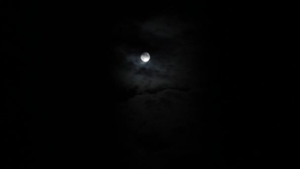 Uma lua branca cheia no céu noturno através de nuvens flutuantes claras. Movimento lento . — Vídeo de Stock