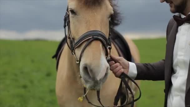 O noivo leva um cavalo que mastiga flores amarelas no pasto verde do rancho. Close-up — Vídeo de Stock