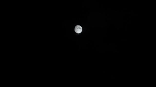 Повний білий місяць у нічному небі через легкі плавучі хмари. Повільний рух . — стокове відео