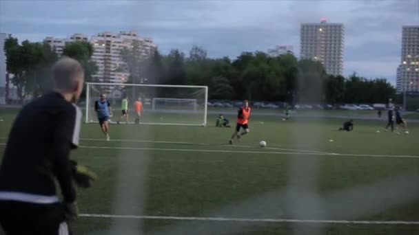 Matchträning för fotbollslag. Spelare gör ett mål och glädjas tumlande på gräset. Skjuter bakom grinden. Närbild. Modell Realesed — Stockvideo