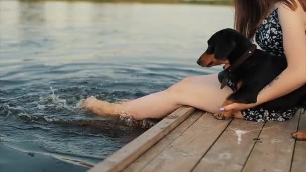 10代の少女は、繁殖したダックスフントの犬と一緒に川のほとりに桟橋に座って、水の中で素足を振りかけます。側面からの眺め。閉鎖 — ストック動画
