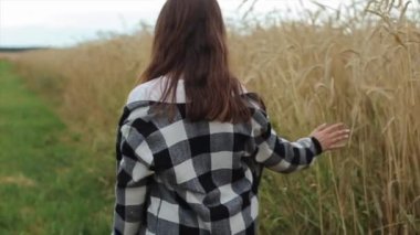 Genç bir kız buğday tarlasında yürüyor ve eliyle dikenlere dokunuyor. Arkadan bak. Yakın plan. Yavaş çekim
