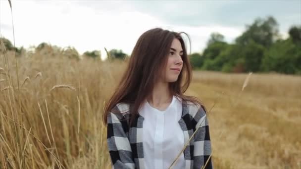 Una jovencita sensual camina por un campo de trigo y toca las espiguillas con las manos. Primer plano. Movimiento lento — Vídeo de stock