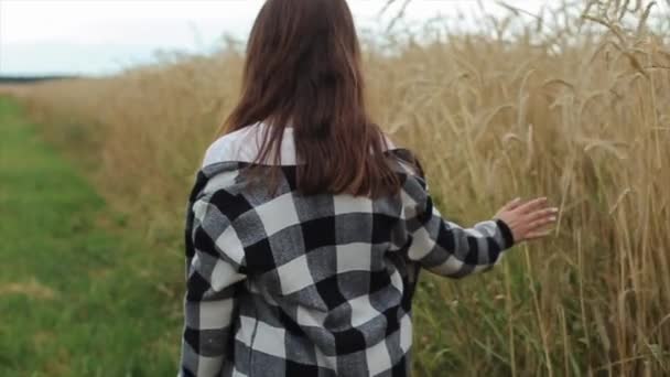 Mladá dívka přejde přes pšeničné pole a rukou se dotkne hřeby. Zadní pohled. Detailní záběr. Zpomalený pohyb — Stock video