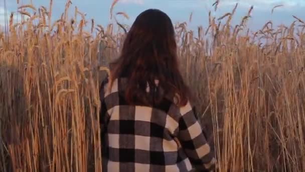 長い髪の少女が小麦畑を歩いている。接近中だ。バックビュー。スローモーション — ストック動画